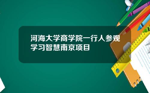 河海大学商学院一行人参观学习智慧南京项目