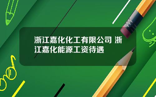 浙江嘉化化工有限公司 浙江嘉化能源工资待遇