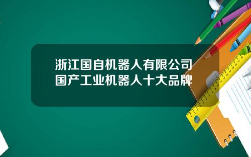 浙江国自机器人有限公司 国产工业机器人十大品牌