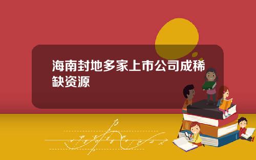 海南封地多家上市公司成稀缺资源