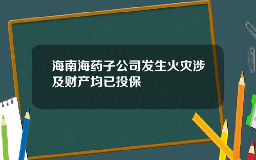 海南海药子公司发生火灾涉及财产均已投保