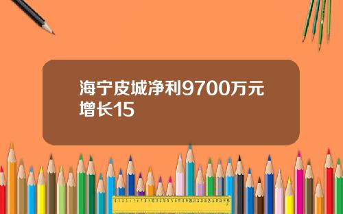 海宁皮城净利9700万元增长15