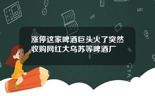 涨停这家啤酒巨头火了突然收购网红大乌苏等啤酒厂