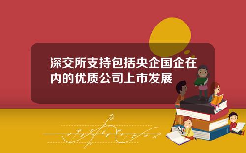 深交所支持包括央企国企在内的优质公司上市发展