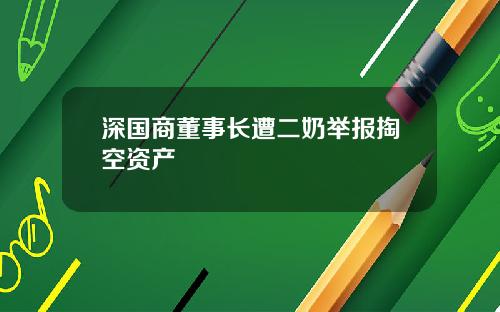 深国商董事长遭二奶举报掏空资产