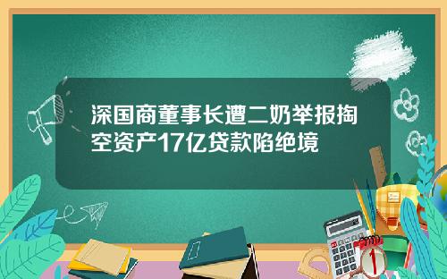 深国商董事长遭二奶举报掏空资产17亿贷款陷绝境