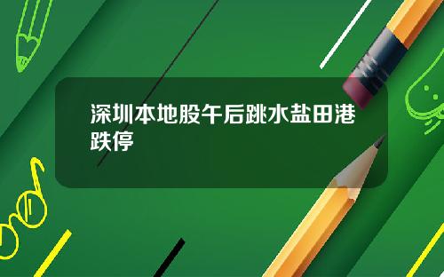 深圳本地股午后跳水盐田港跌停
