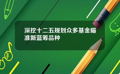 深挖十二五规划众多基金瞄准新蓝筹品种