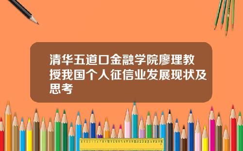 清华五道口金融学院廖理教授我国个人征信业发展现状及思考