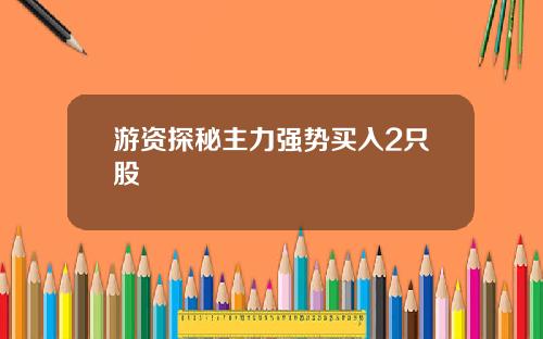 游资探秘主力强势买入2只股