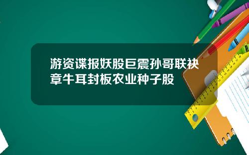 游资谍报妖股巨震孙哥联袂章牛耳封板农业种子股