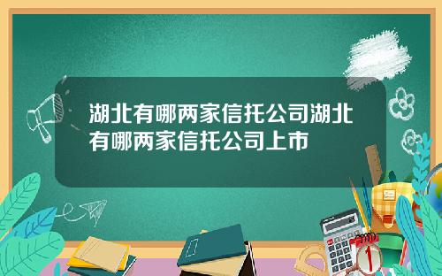 湖北有哪两家信托公司湖北有哪两家信托公司上市