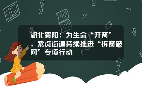 湖北襄阳：为生命“开窗”，紫贞街道持续推进“拆窗破网”专项行动