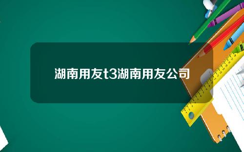 湖南用友t3湖南用友公司