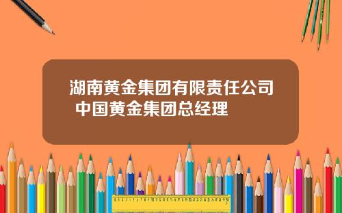 湖南黄金集团有限责任公司 中国黄金集团总经理
