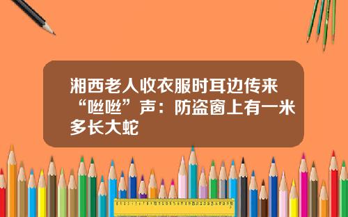 湘西老人收衣服时耳边传来“咝咝”声：防盗窗上有一米多长大蛇
