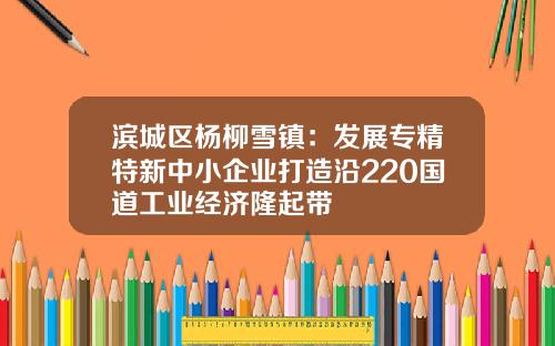 滨城区杨柳雪镇：发展专精特新中小企业打造沿220国道工业经济隆起带