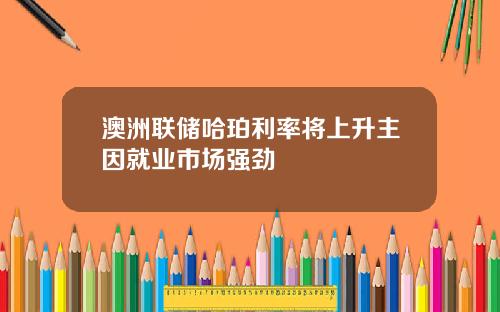 澳洲联储哈珀利率将上升主因就业市场强劲
