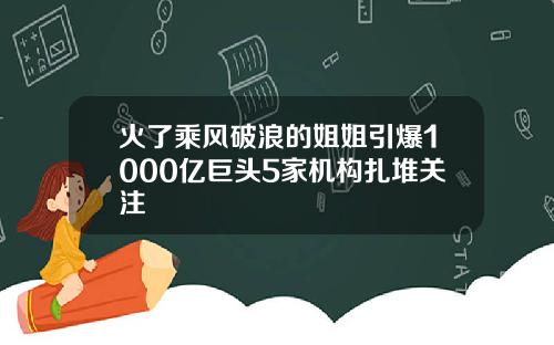 火了乘风破浪的姐姐引爆1000亿巨头5家机构扎堆关注