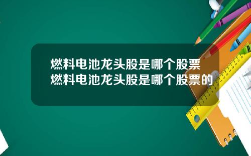 燃料电池龙头股是哪个股票燃料电池龙头股是哪个股票的