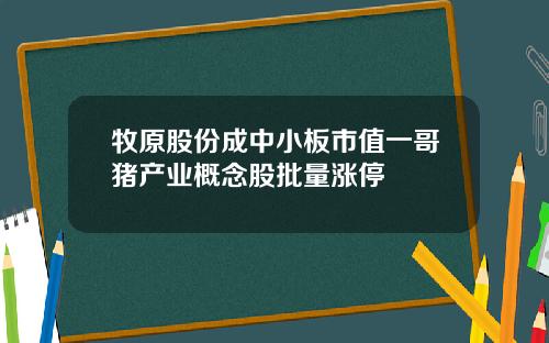 牧原股份成中小板市值一哥猪产业概念股批量涨停