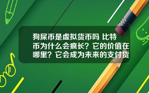 狗屎币是虚拟货币吗 比特币为什么会疯长？它的价值在哪里？它会成为未来的支付货币吗？
