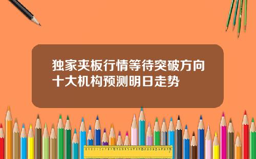 独家夹板行情等待突破方向十大机构预测明日走势