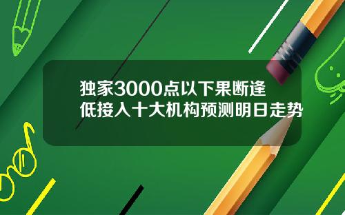 独家3000点以下果断逢低接入十大机构预测明日走势
