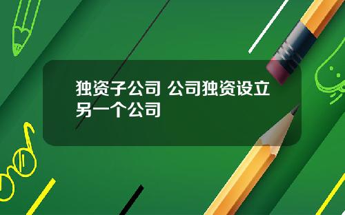 独资子公司 公司独资设立另一个公司
