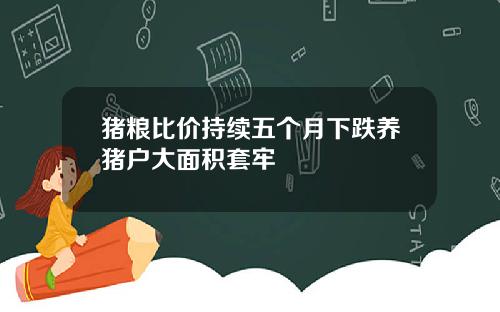 猪粮比价持续五个月下跌养猪户大面积套牢