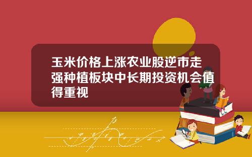 玉米价格上涨农业股逆市走强种植板块中长期投资机会值得重视