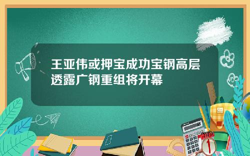 王亚伟或押宝成功宝钢高层透露广钢重组将开幕
