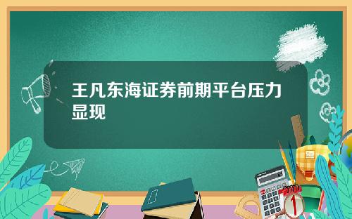 王凡东海证券前期平台压力显现