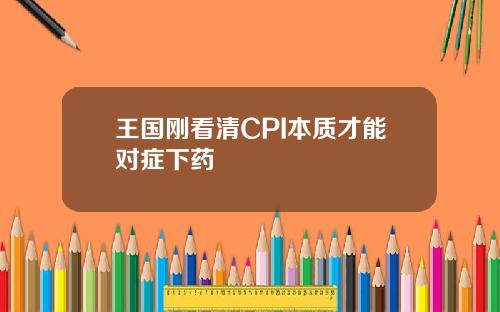 王国刚看清CPI本质才能对症下药