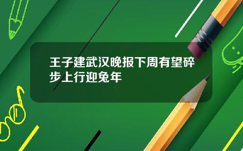 王子建武汉晚报下周有望碎步上行迎兔年