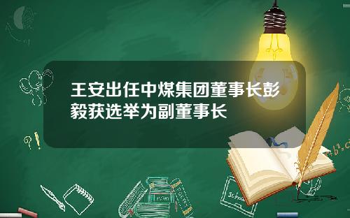 王安出任中煤集团董事长彭毅获选举为副董事长