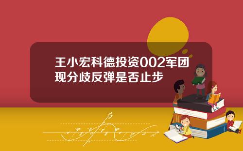 王小宏科德投资002军团现分歧反弹是否止步