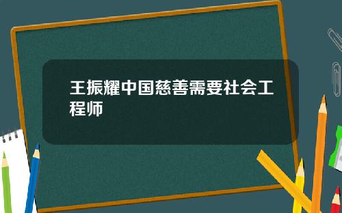 王振耀中国慈善需要社会工程师