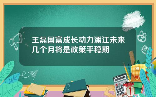 王磊国富成长动力潘江未来几个月将是政策平稳期