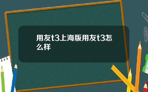 用友t3上海版用友t3怎么样