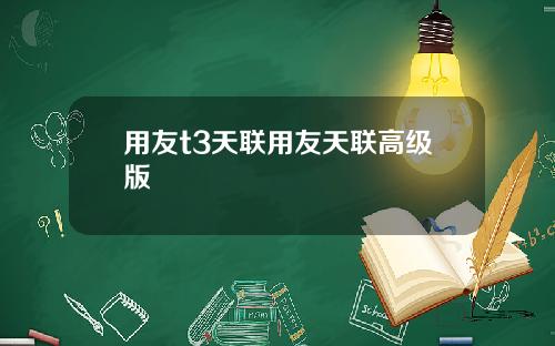 用友t3天联用友天联高级版