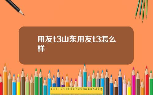 用友t3山东用友t3怎么样