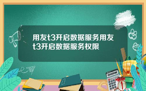 用友t3开启数据服务用友t3开启数据服务权限