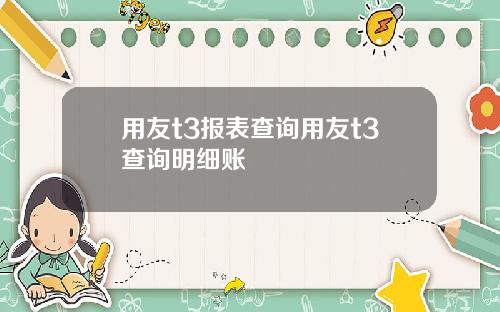 用友t3报表查询用友t3查询明细账