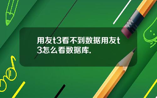 用友t3看不到数据用友t3怎么看数据库.