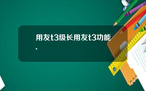 用友t3级长用友t3功能.