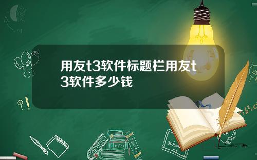 用友t3软件标题栏用友t3软件多少钱