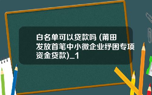 白名单可以贷款吗 (莆田发放首笔中小微企业纾困专项资金贷款)_1