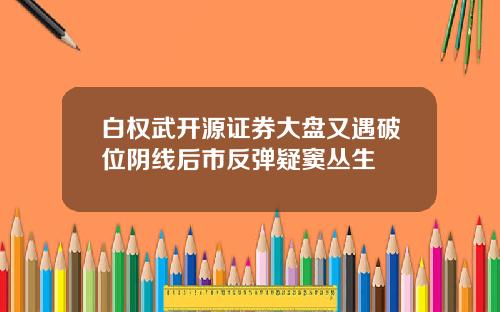 白权武开源证券大盘又遇破位阴线后市反弹疑窦丛生