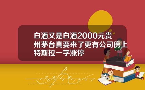 白酒又是白酒2000元贵州茅台真要来了更有公司傍上特斯拉一字涨停